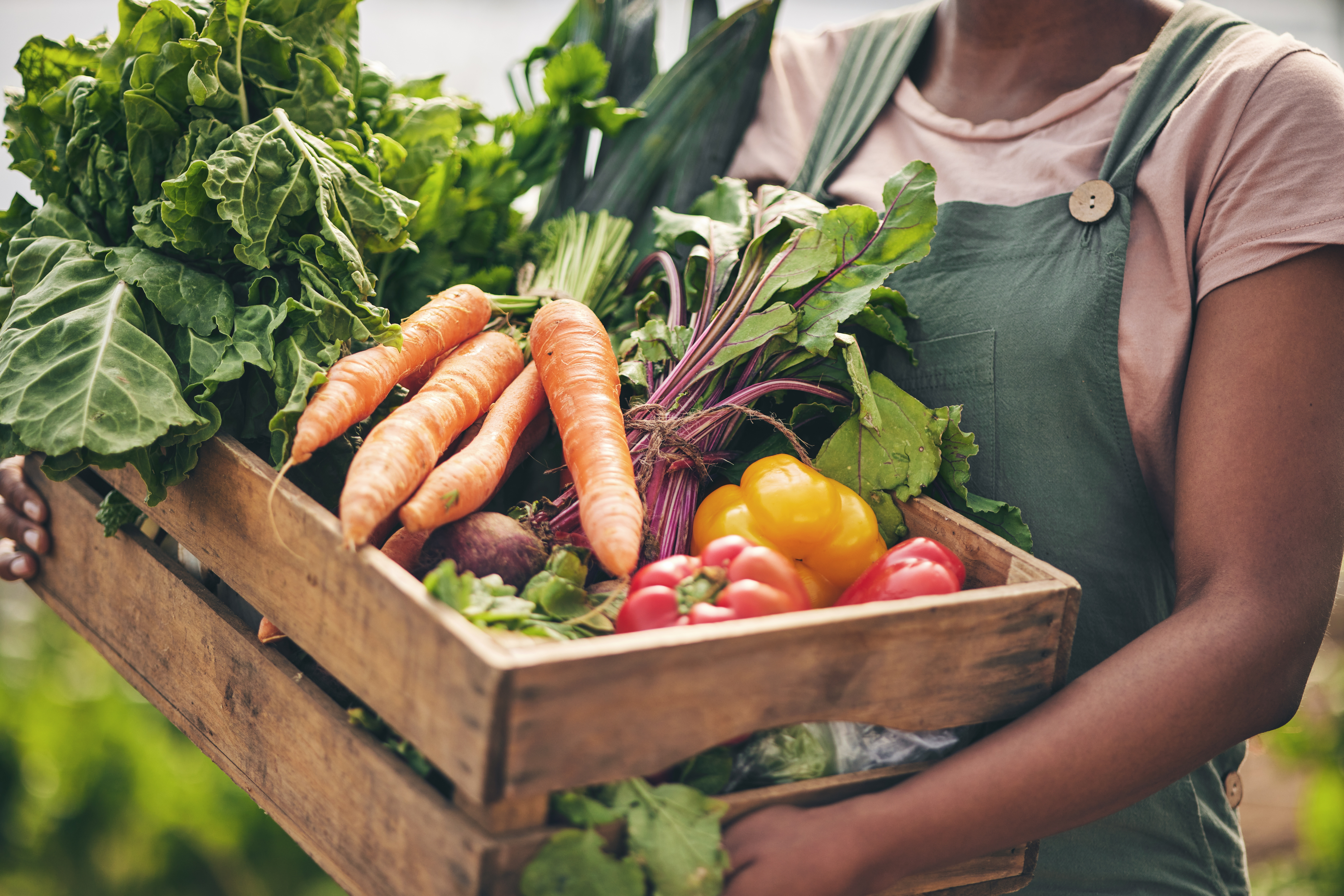 Farmer with just harvested vegetables basket